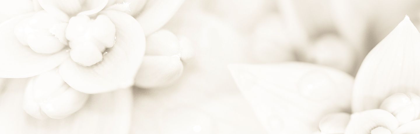 Ферми металеві